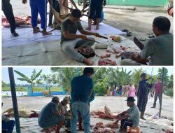 Semangat Idul Adha 1447 H, Masjid Baiturrahman Kolaborasi dengan LSM Lipan Sumut