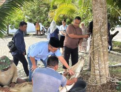Hari Raya Idul Adha 1477 Hijriah   Kejaksaan Negeri Deliserdang Qurban Satu Ekor sapi dan bagikan kepada masarakat Sekitar 