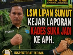 LSM LIPAN Sumut Kawal Dugaan Korupsi Kades Suka Jadi, Kejari Disebut Limpahkan ke Inspektorat
