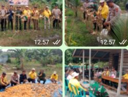 Dukung Swasembada Pangan Nasional ,, Polsek Tambusai Utara ,Bersama Petani Adakan Panen Raya Jagung kuartal ll di Desa Mekar Jaya .