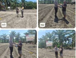 Bukti Nyata Polri Cinta Petani,, Bhabinkamtibmas Serahkan Pupuk Cair untuk Petani Jagung di Desa Rantau Sakti