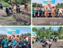 Polsek Tambusai Utara dan Pemdes Simpang Harapan, Tingkatkan Ketahanan Pangan Nasional, Tanam Jagung Hibrida di Lahan 1,7 Hektare