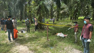 Respons Cepat ,, Kanit Reskrim IPDA Rahmat Bersama Anggota Penemuan Mayat di Mahato KM 24. 