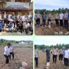 Perkuat Dukungan Swasembada Pangan Nasional ,, Polsek Tambusai Utara ,” Penanaman Jagung Kuartal lll Desa Tambusai Utara .